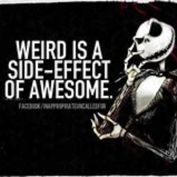 Meet your Posher, Rose - Picture 7 of 7